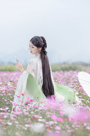 公府佳媳陆丰的CP